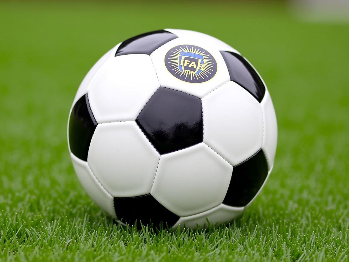 开云体育app-“2025世界游泳锦标赛:哪些项目值得一看?” 第3张