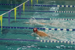 开云体育平台-“2025世界游泳锦标赛:水上芭蕾展现不一样的艺术魅力” 第3张